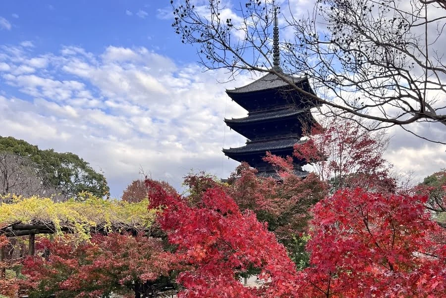 een tempel in Kyoto, omring door herfstkleuren